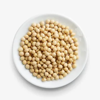 大豆 黄豆 豆子 植物蛋白免抠