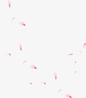 粉色中国风漂浮花瓣免抠装饰效果特效元素