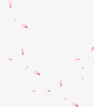 粉色中国风漂浮花瓣免抠装饰效果特效元素