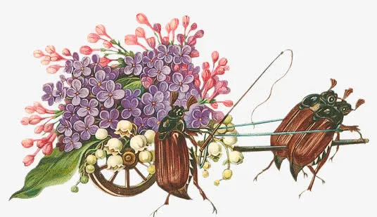 甲虫拉车免抠