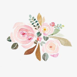 粉色玫瑰花免抠