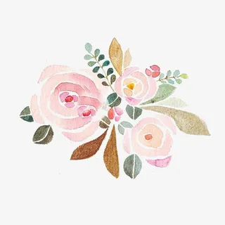 粉色玫瑰花免抠