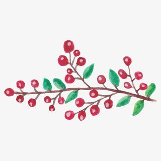 鲜花花卉花卉画免抠