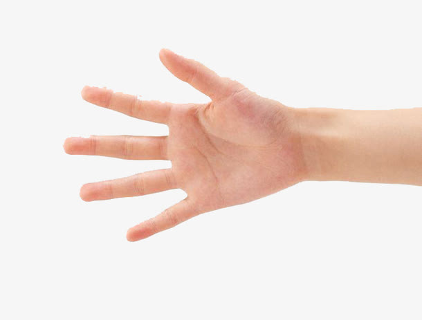 女人的手免抠