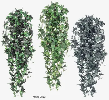 绿色叶子爬墙免抠