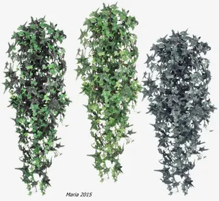 绿色叶子爬墙免抠