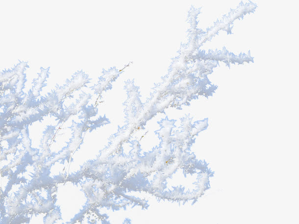 积雪的树枝免抠