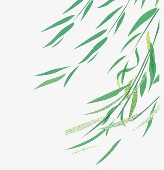 春天春意绿叶免抠漂浮叶子元素