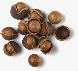 澳洲坚果素材免抠