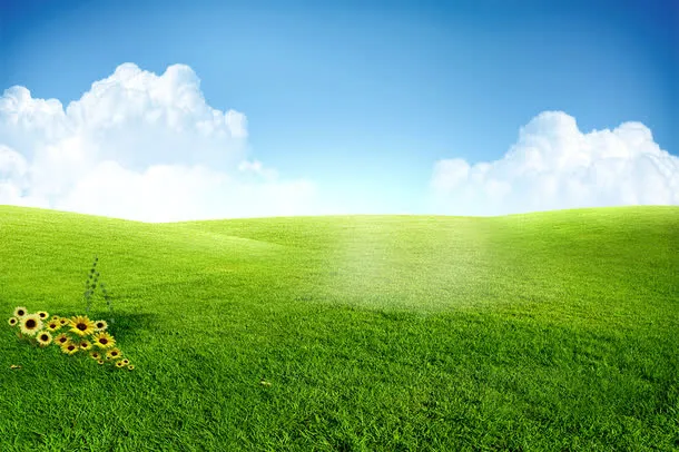 绿色草地背景免抠