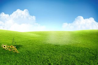 绿色草地背景免抠