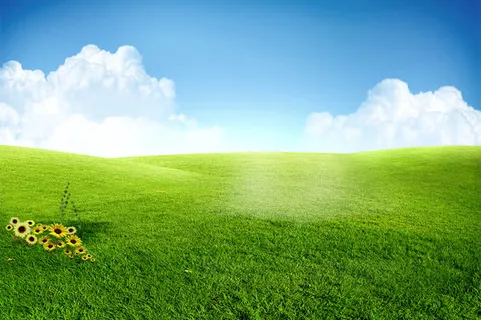 绿色草地背景免抠 绿色草地背景免抠