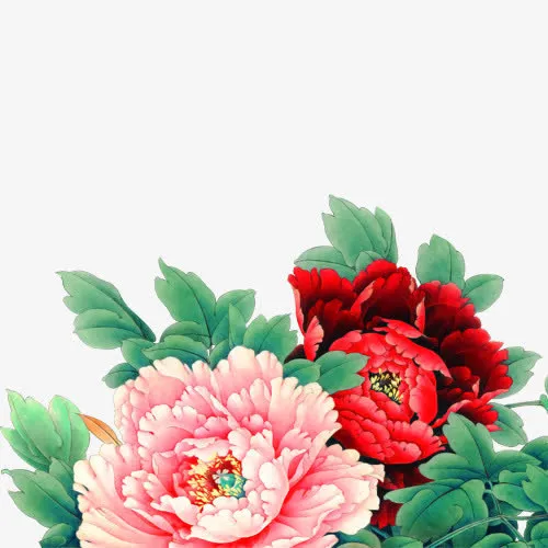花朵免抠