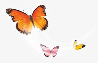 飞舞夏日森林卡通效果免抠