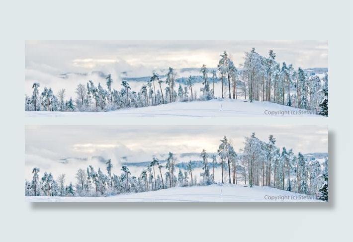 冬季森林雪景banner