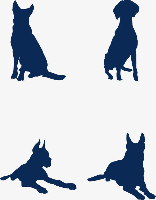 猎犬坐姿免抠