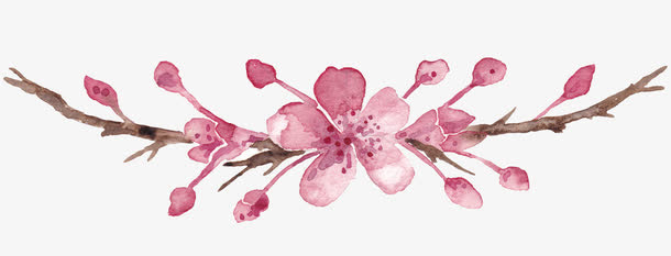 一朵樱花免抠