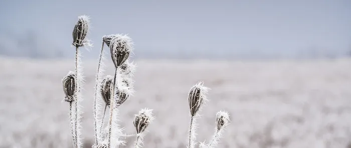 海报背景图片高清