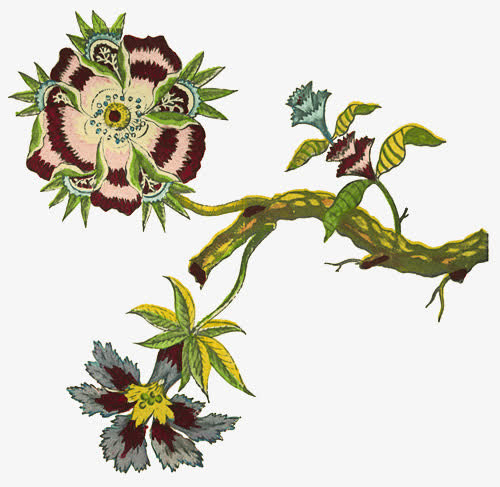 花纹免抠