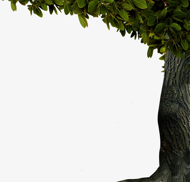 大树边框装饰免抠