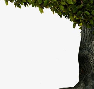 大树边框装饰免抠