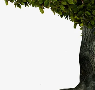 大树边框装饰免抠