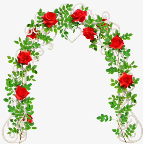 红色玫瑰花门免抠