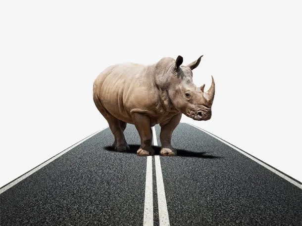 概念图站在公路上的犀牛免扣免抠