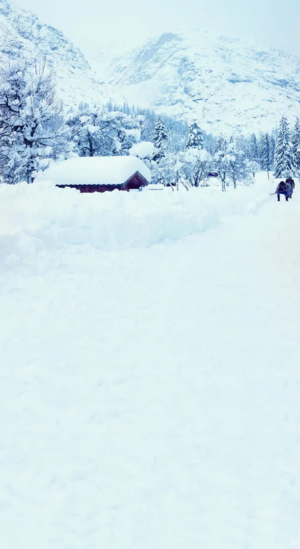 雪地里的房屋树林免抠