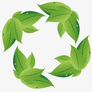 矢量绿色植物树叶免抠