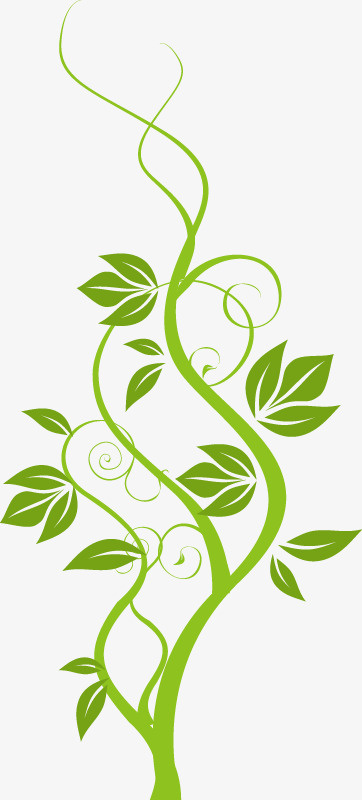树枝免抠