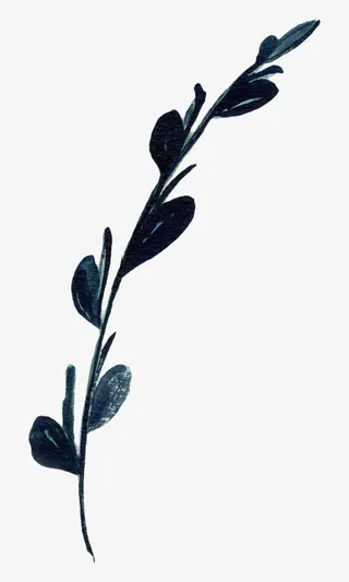 手绘叶子边框免抠