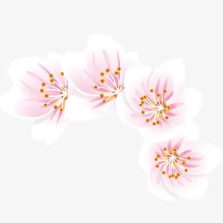 樱花树枝手绘卡通免抠