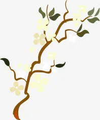 白色花朵免抠