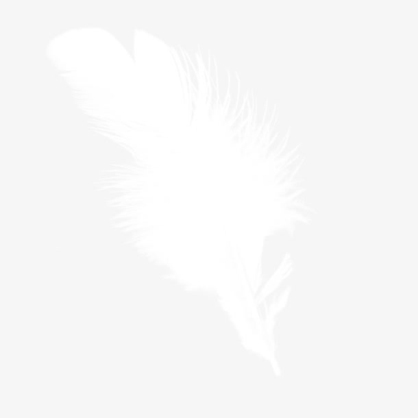 羽毛免抠