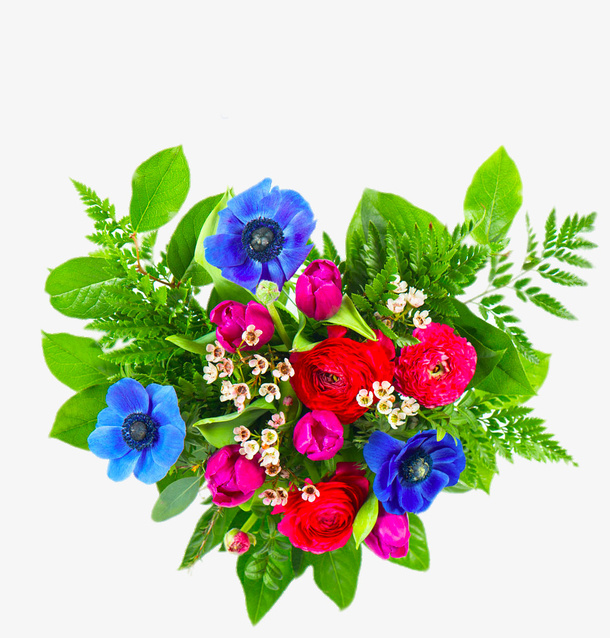 高清玫瑰花组合免抠