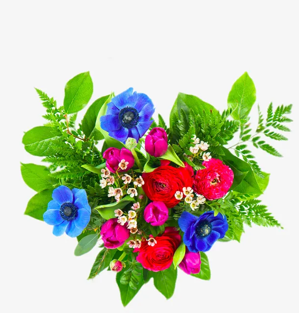 高清玫瑰花组合免抠