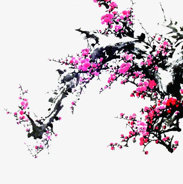 中国风粉色水墨梅花免抠