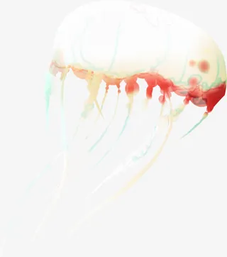 水母白色素材免抠
