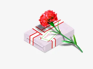 母亲节花朵紫色礼物免抠