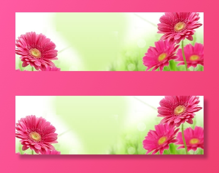 粉色唯美盛开花朵春天免抠