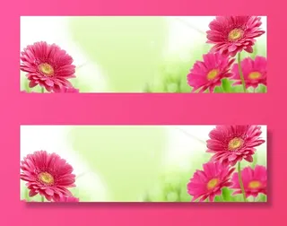 粉色唯美盛开花朵春天免抠