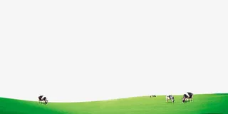 青青草原上吃草的牛素材免抠