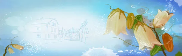 花瓣背景图