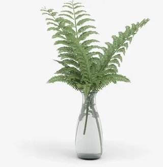 装饰的绿意花瓶免抠