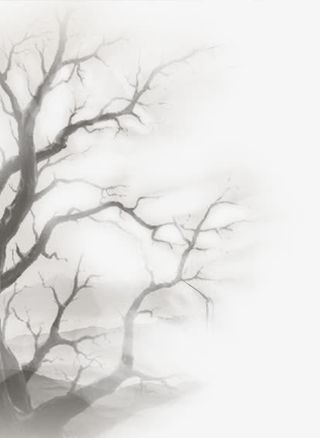 墨树，水墨树枝免抠