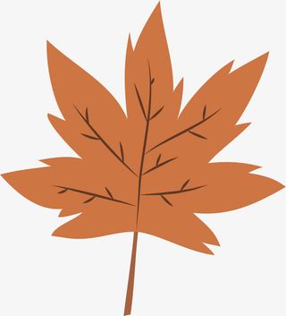 枫叶标题框免抠