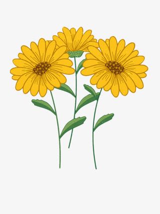 手绘向日葵插画矢量图免抠