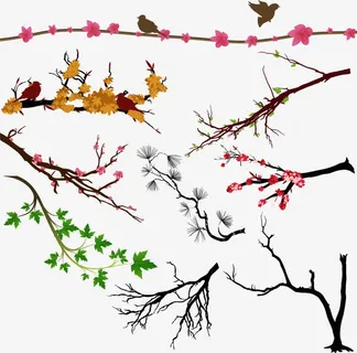 卡通手绘树枝免抠