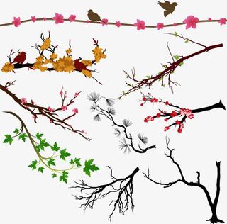 卡通手绘树枝免抠